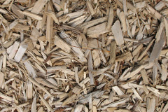 biomass boilers Ancrum